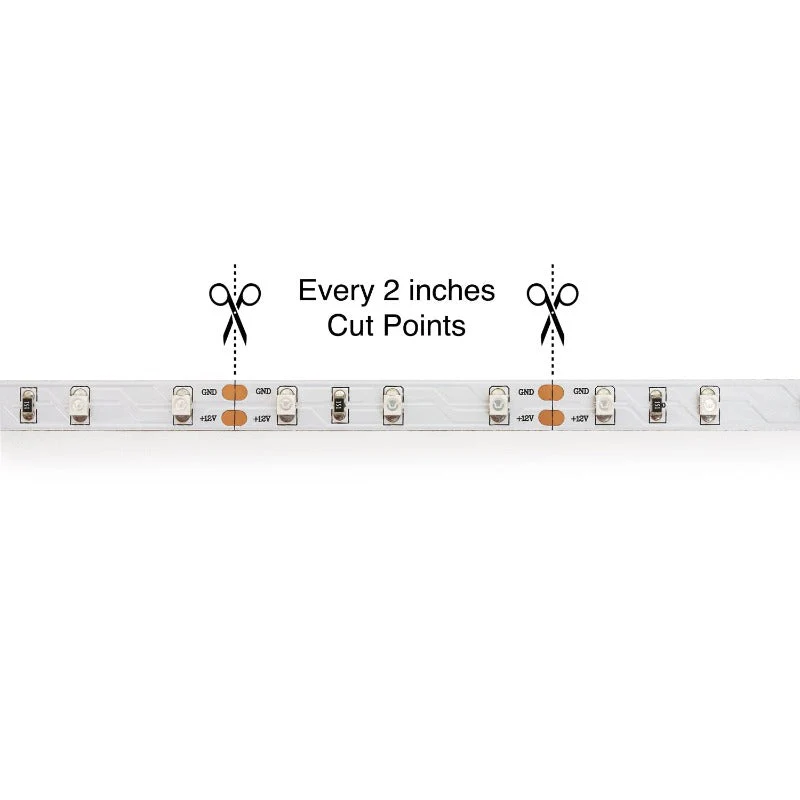 5M(16.4ft) Indoor LED Strip Light 3528, 12V 3(w/ft) Blue - Image 2